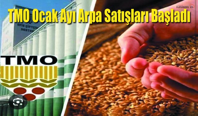 TMO Ocak Ayı Arpa Satışları Başladı