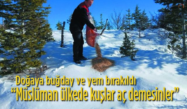Yaban Hayvanları İçin Doğaya Buğday Serildi