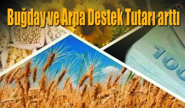 2026 Yılı Buğday ve Arpa Dekar Başına Destek Tutarı arttı