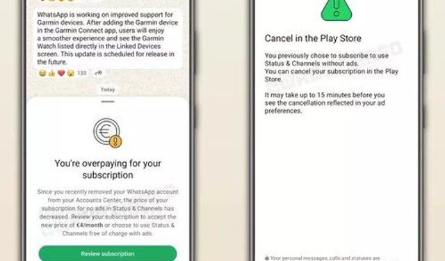 WhatsApp'tan Kullanıcılara Yeni Abonelik Seçeneği Duyurusu