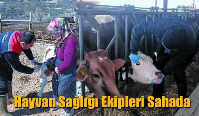 Karaman'da Hayvan Sağlığı Ekipleri Yoğun Mesai Harcıyor