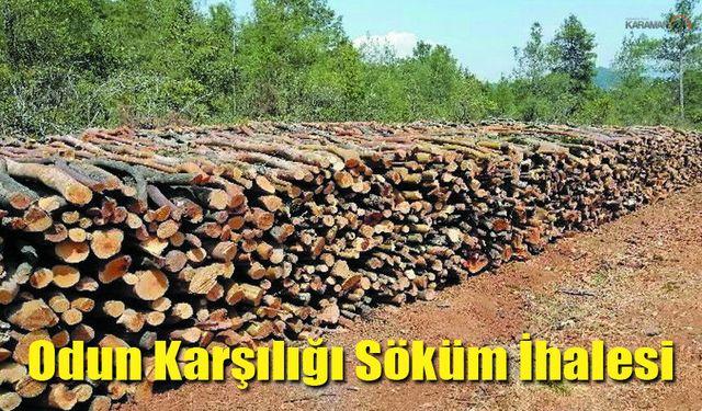 Sudurağı Belediyesi'nden Odun Karşılığı Söküm İhalesi