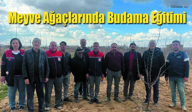 Karaman'da Meyve Ağaçlarında Budama Eğitimi Verildi