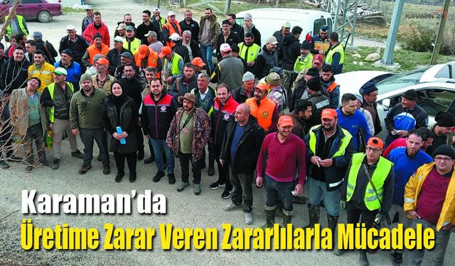 Karaman'da Üretime Zarar Veren Zararlılarla Mücadele Başladı