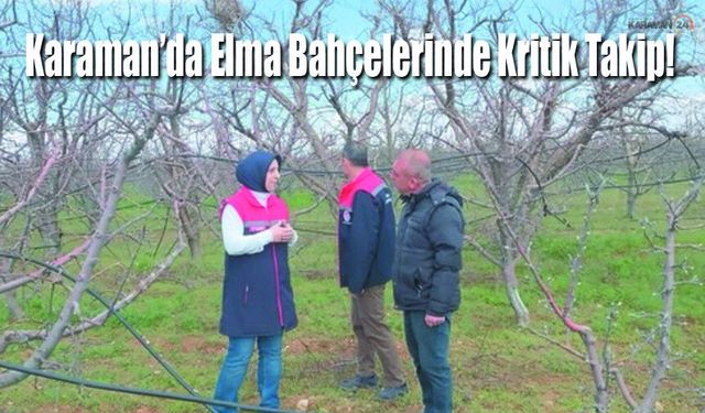 Karaman’da Elma Bahçelerinde Kritik Takip!