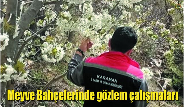 Karaman'da Meyve Bahçelerinde Fenolojik Gözlemler