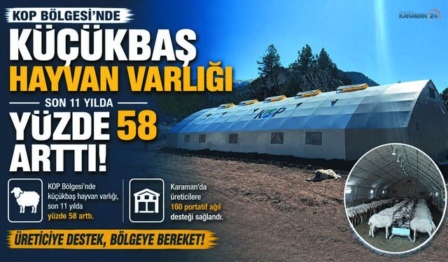 Karaman’da Küçükbaş Hayvancılığa Büyük Destek