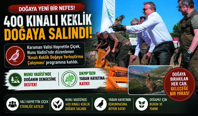 Karaman'da 400 Kınalı Keklik Doğaya Salındı