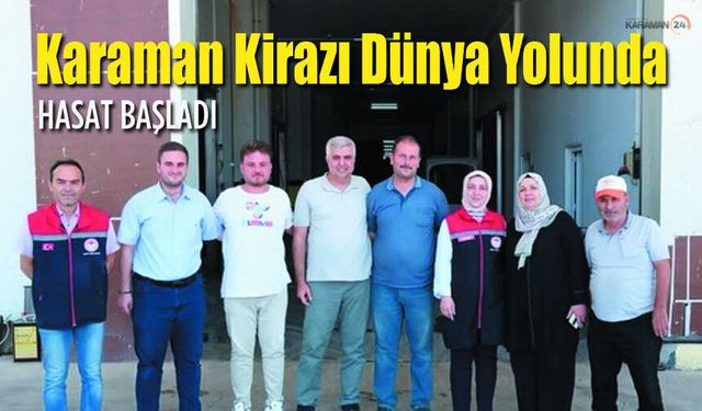 Karaman Kirazı Dünya Yolunda! Hasat Başladı