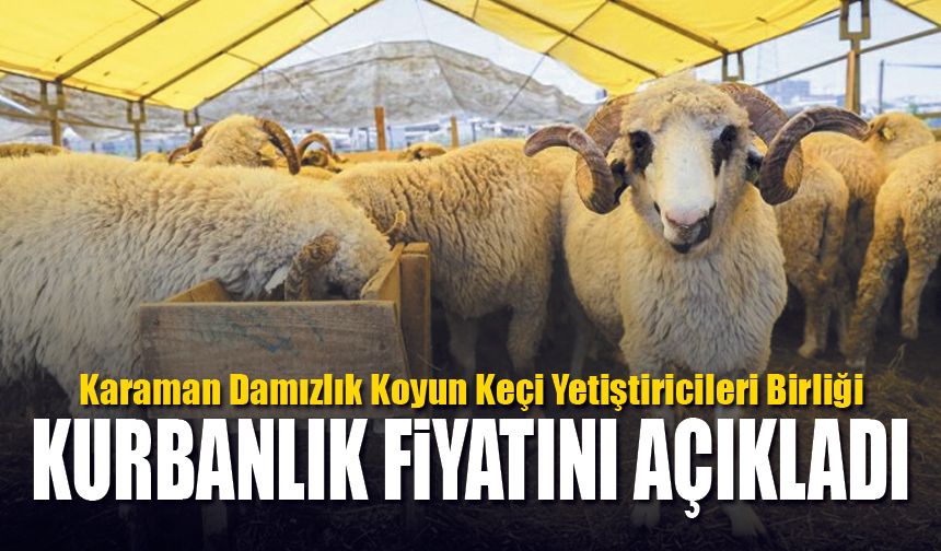 Karaman’da Küçükbaş Kurbanlık Fiyatları Açıklandı