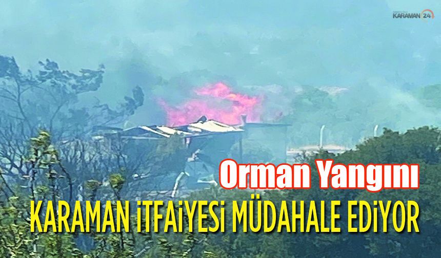 Karaman İtfaiyesi, Orman Yangınına Müdahale ediyor