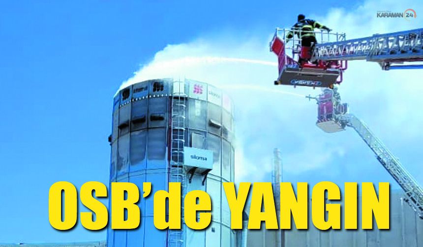 OSB’de Fabrikada Talaş Yangını Korkuttu