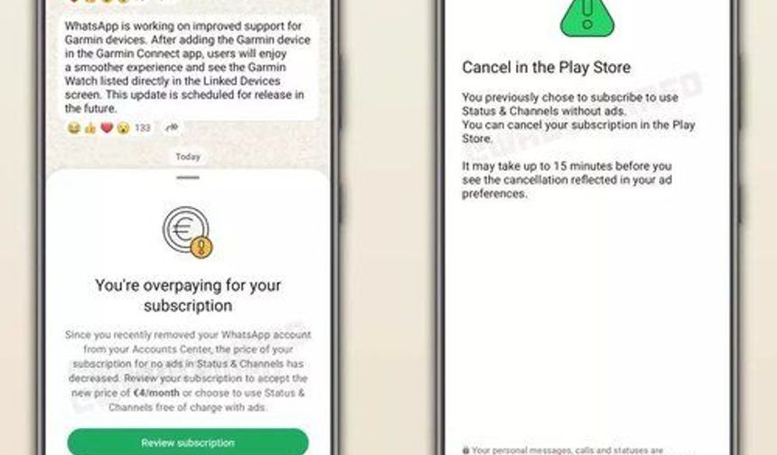 WhatsApp'tan Kullanıcılara Yeni Abonelik Seçeneği Duyurusu