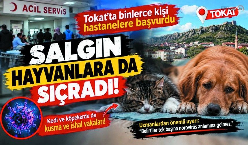 5 bin kişiyi hastanelik eden salgında evcil hayvan detayı!