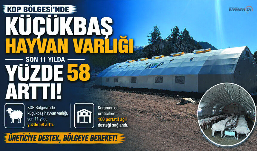 Karaman’da Küçükbaş Hayvancılığa Büyük Destek