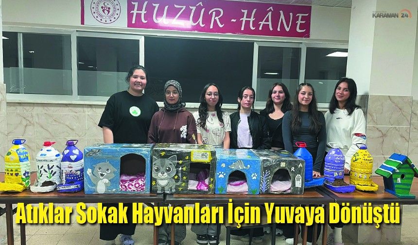 Atıklar Sokak Hayvanları İçin Yuvaya Dönüştü